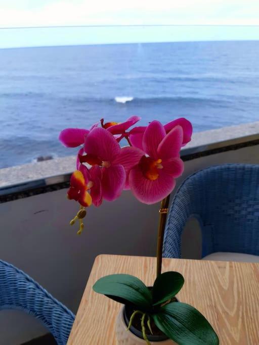 Ocean Orchidea Puerto de la Cruz (Tenerife) Exterior foto